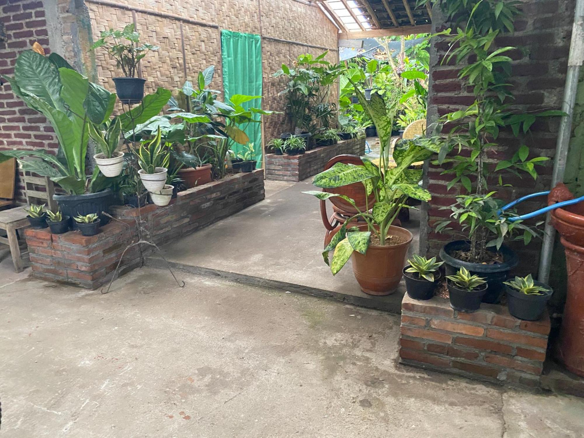 Ada Homestay Magelang Extérieur photo