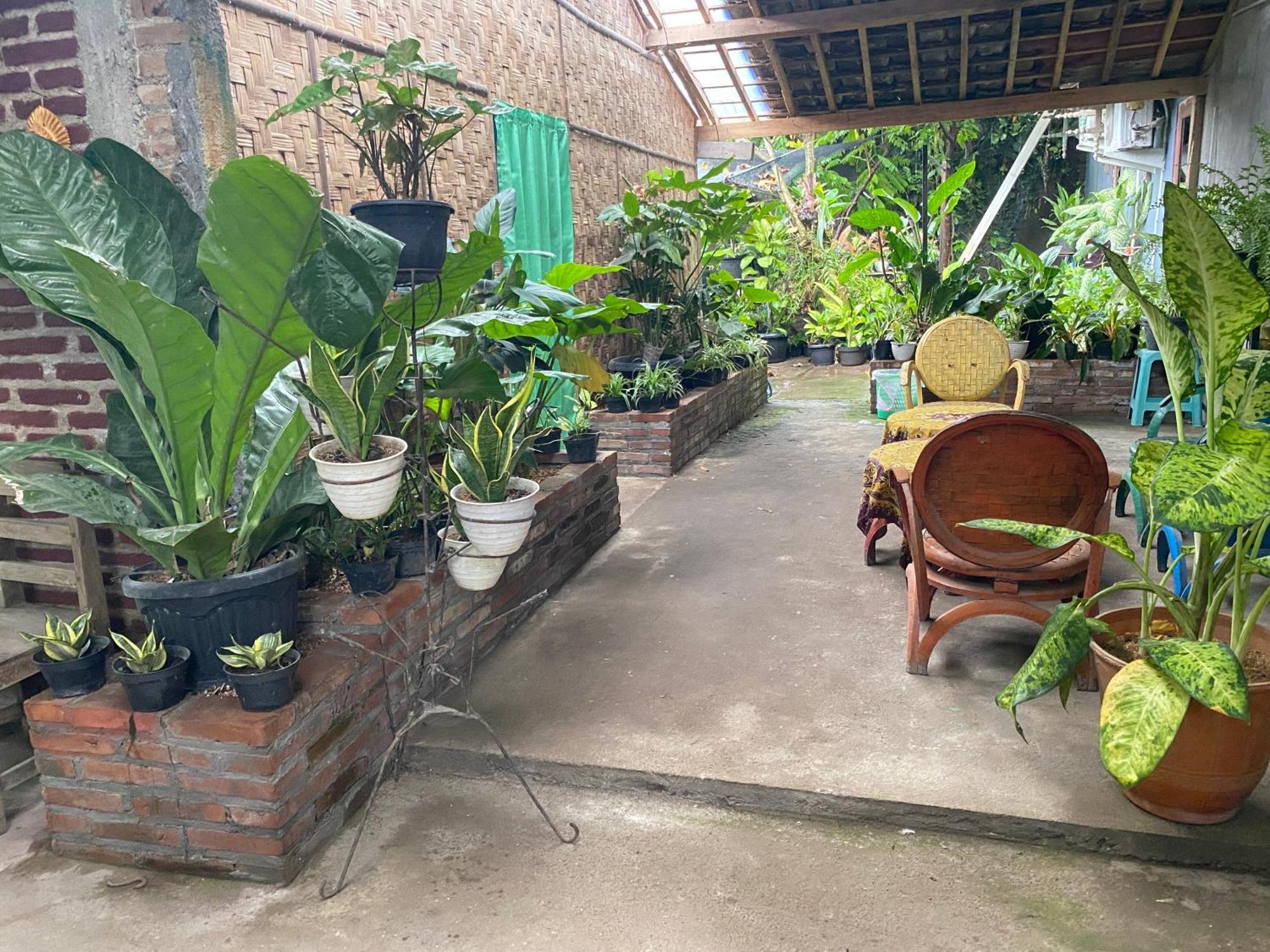 Ada Homestay Magelang Extérieur photo