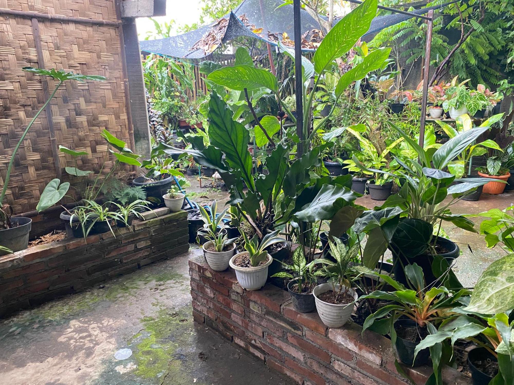 Ada Homestay Magelang Extérieur photo
